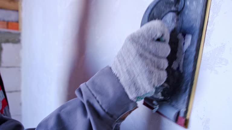 Best Black Mold Removal  in Cross Plains, WI