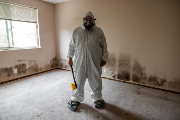 Biohazard Mold Removal in Cross Plains, WI