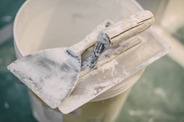 Best Mold-Related Health Consultation  in Cross Plains, WI