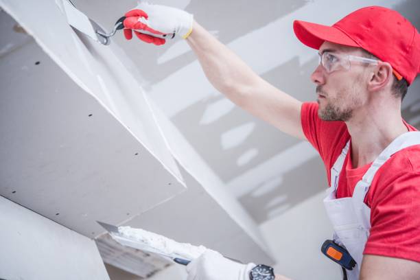 Best Attic Mold Removal  in Cross Plains, WI